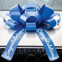 Car Bows