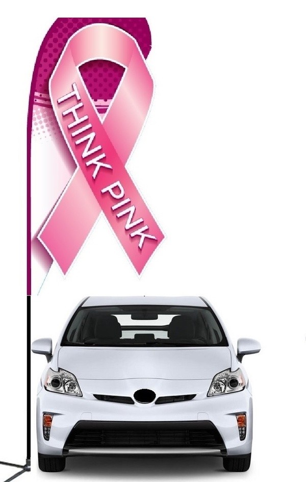 Think Pink double-sided laser-cut 3D teardrop flag kit