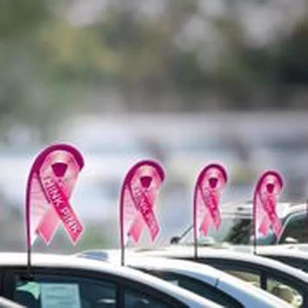 Breast cancer awareness mini 3D teardrop flag kit with suction-cup mount