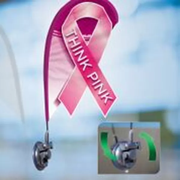 Breast cancer awareness mini 3D teardrop flag with pole and window clip