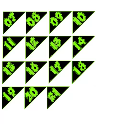 Chartreuse & Black Angle Year Model Stickers. #5855