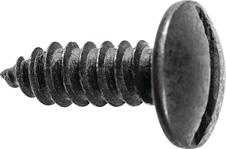 Dark license plate screw with a broad slotted truss head and pointed shaft