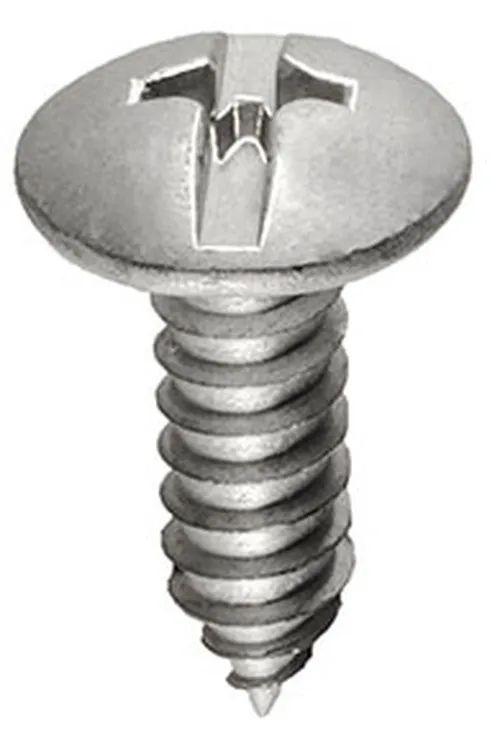 Silver duo-drive license plate screw with a combined slotted and Phillips head