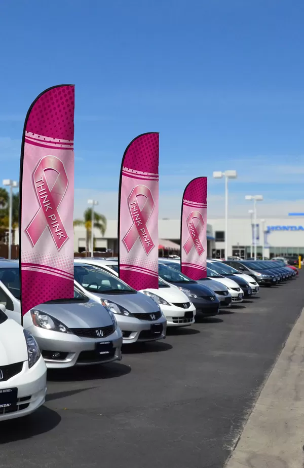 Think Pink breast cancer awareness feather flag kit with pole and ground spike