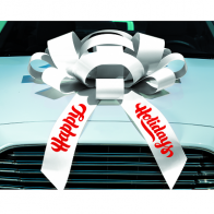 30 Inch Magnetic Car Bow (buy 2 And Save On Shipping)